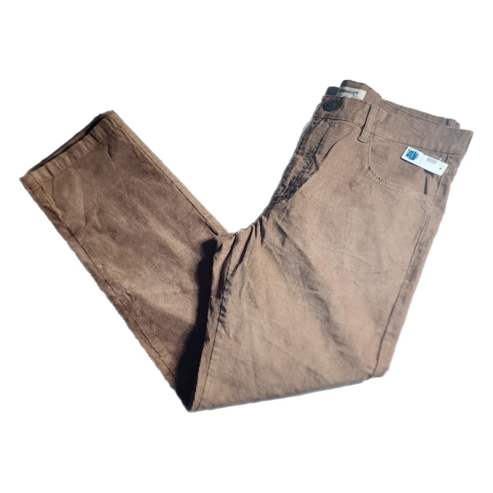 Goodfellow and Co Men's Tan Corduroy Pants Size 34X30 NWT 0752